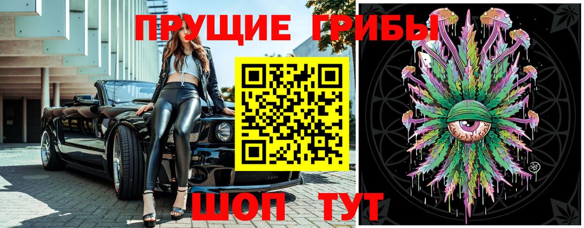 Омск  Галлюциногенные грибы Psilocybe  Вход с VPN 